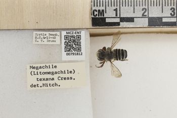 Media type: image;   Entomology 791812 Aspect: Labels